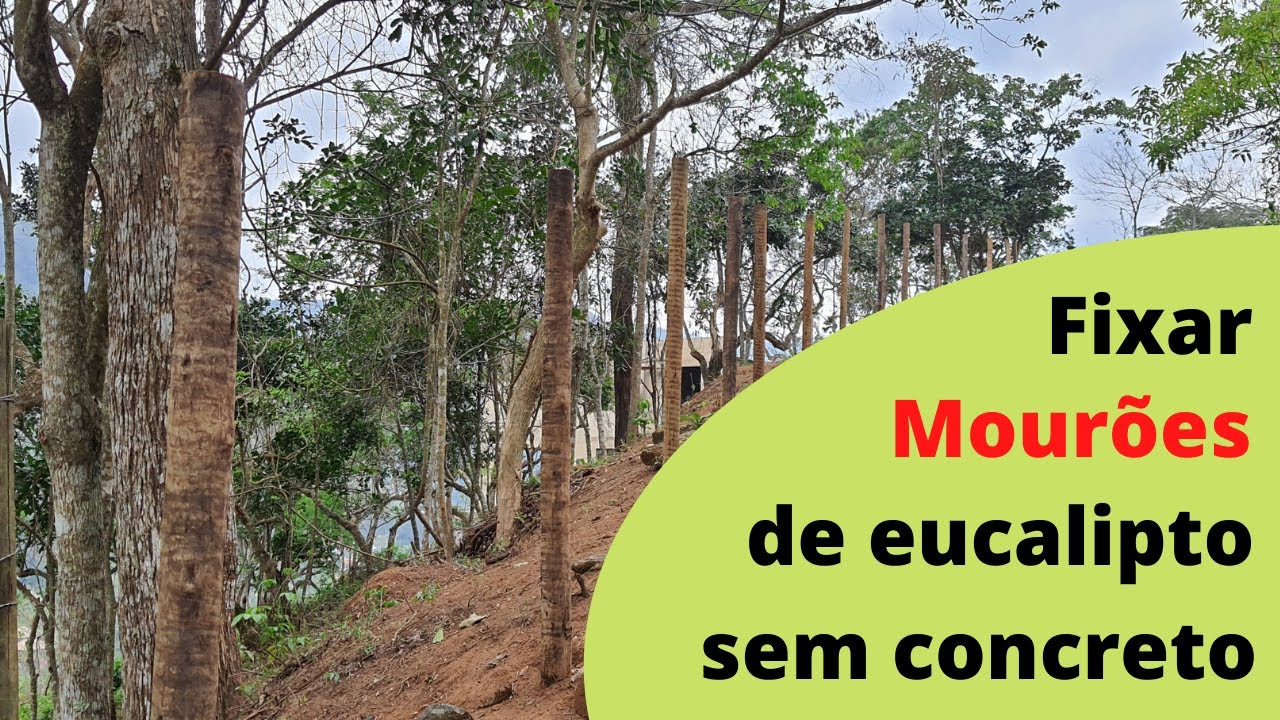 Colocar mourão de eucalipto sem concreto