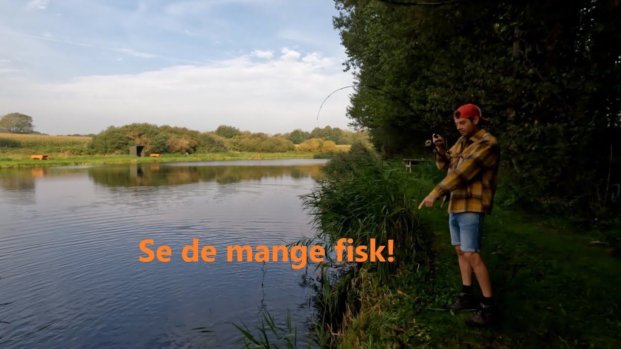 NEM FISKESØ
