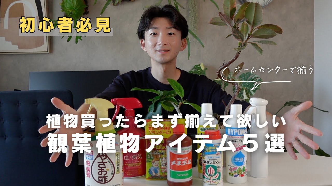 【初心者必見】まず始めに揃えるべき観葉植物アイテム５選