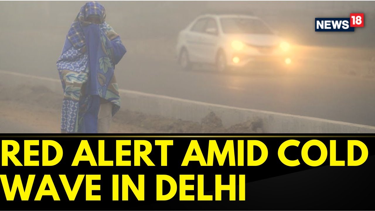 Delhi-NCR Engulfed In Dense Fog, IMD Issues Red Alert, Temp Drops To 3.5 Degree | English News