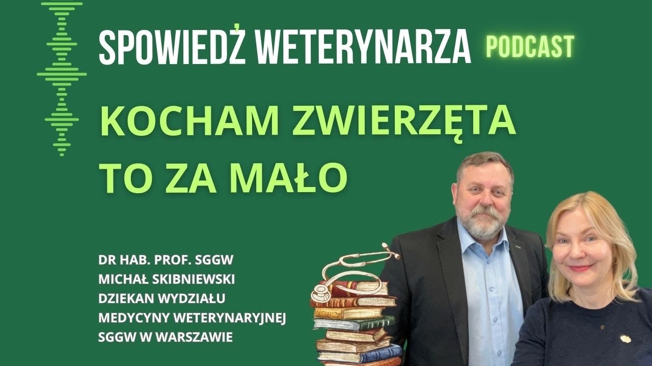 Kocham zwierzęta to za mało. Studia weterynaryjne bez tajemnic?