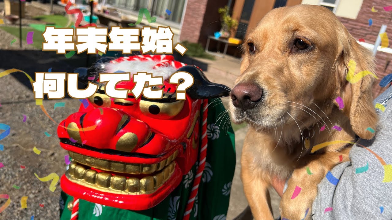 【年末年始、何してた？】むぎと過ごす年末年始おでかけVlog