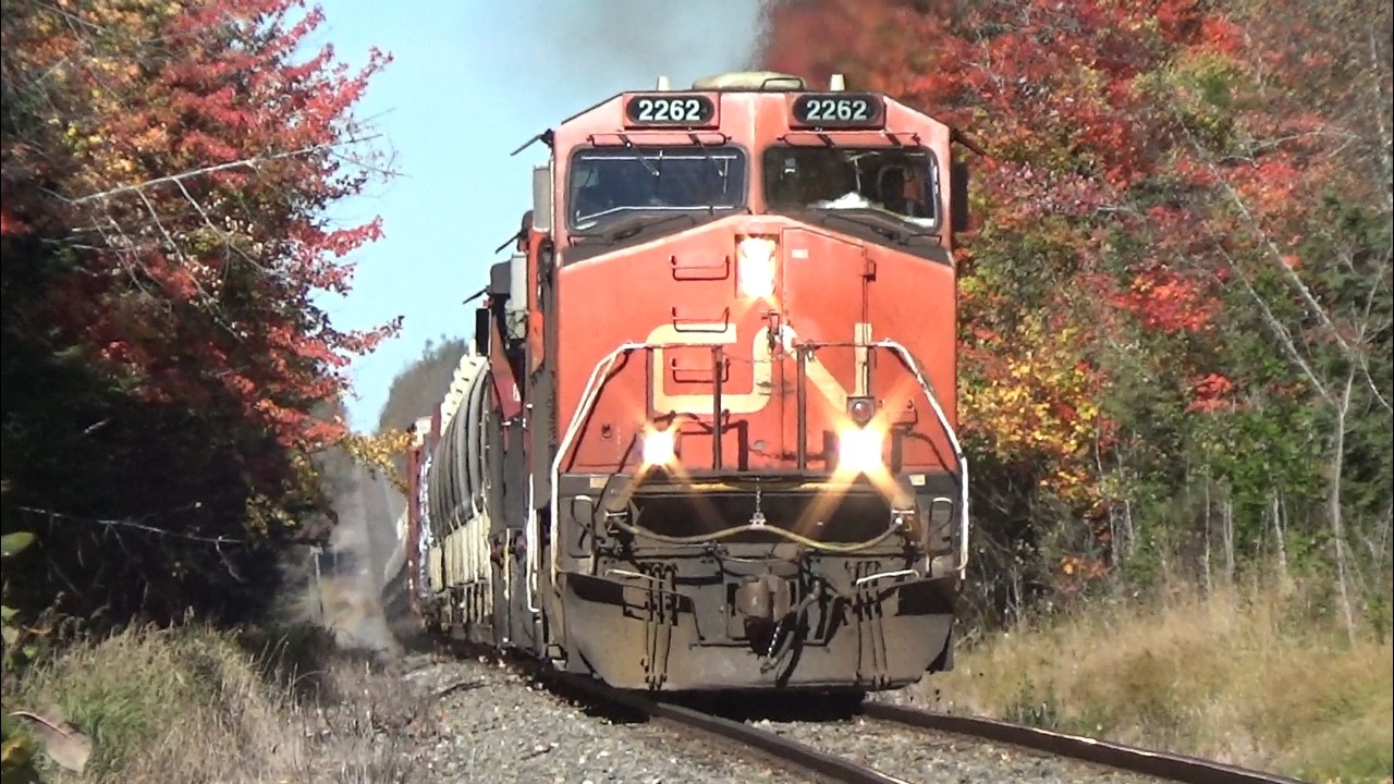 Awesome Approach View & Fall Colours! Miramichi Local Train CN 569 East passing Canaan Station, NB