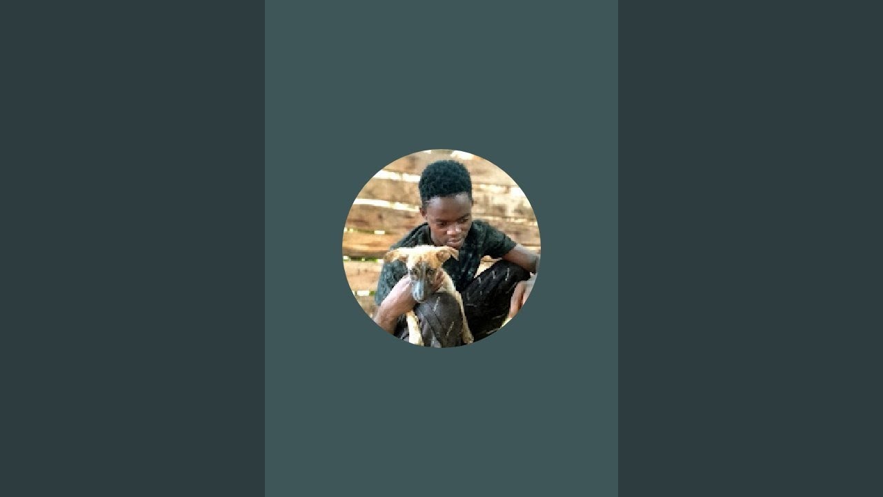 Am calling your support to get food for my rescue and treatment
