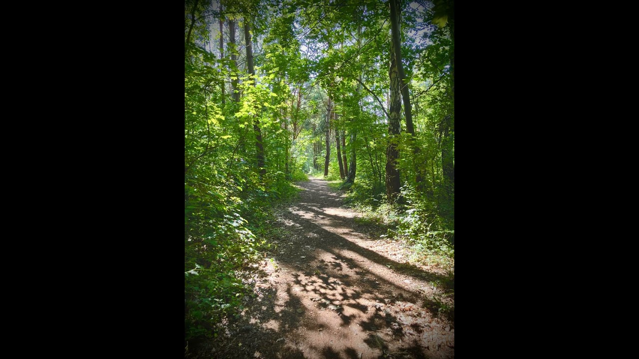 Dreamy Day