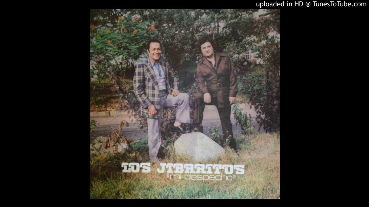 Solo Por La  Vida-Los Jibaritos