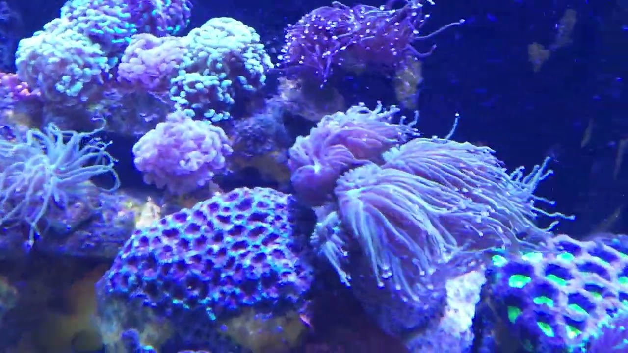 Happy Tank Saturday!!!!!  ❤️ 
