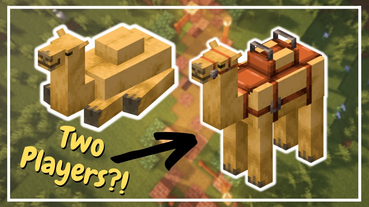 The Camel in Minecraft 1.20 | Tutorial