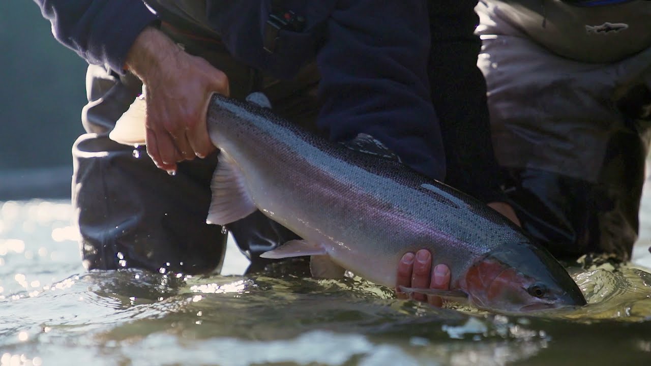 Portraits from Steelhead Paradise: Alex Bussman