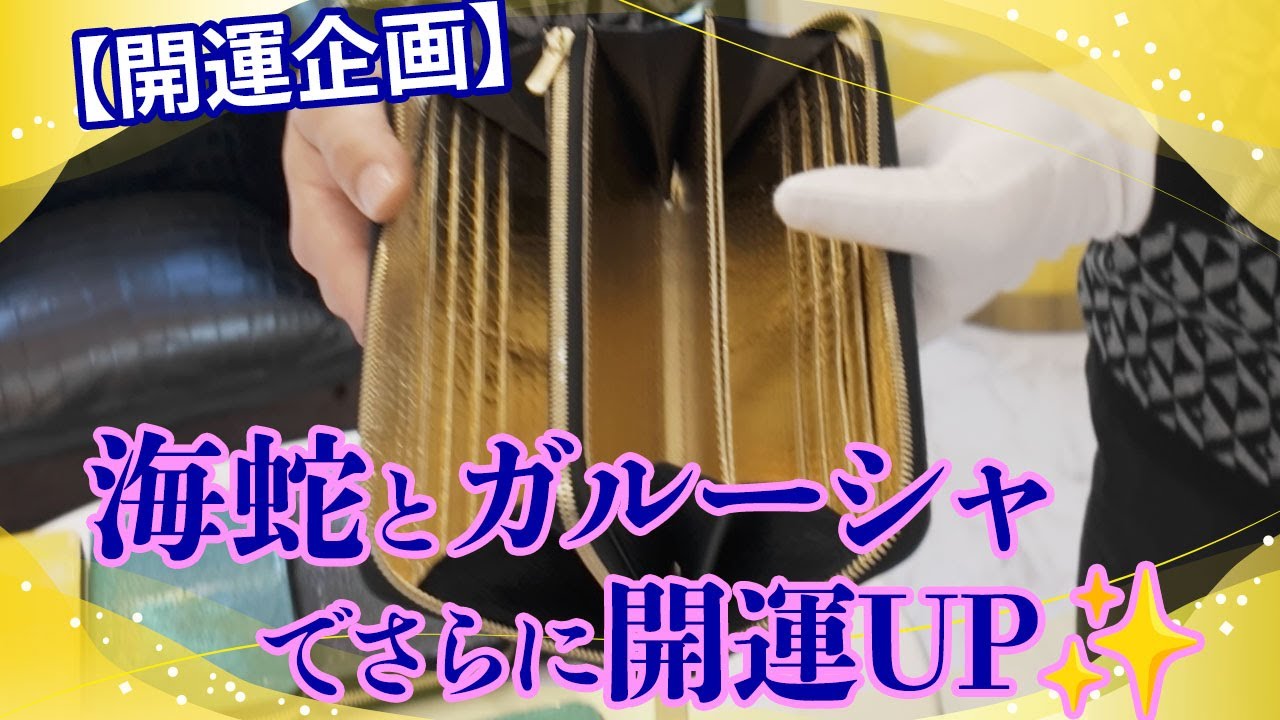 【開運企画】海蛇とガルーシャのコンビネーションでさらに開運UP✨