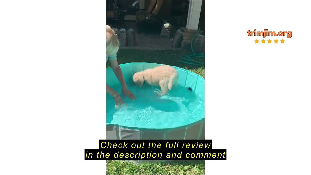 Review Furrybaby Dog Pool, Kiddie Pool Hard Plastic Foldable Dog Pools for Large Dogs Portable Pet D