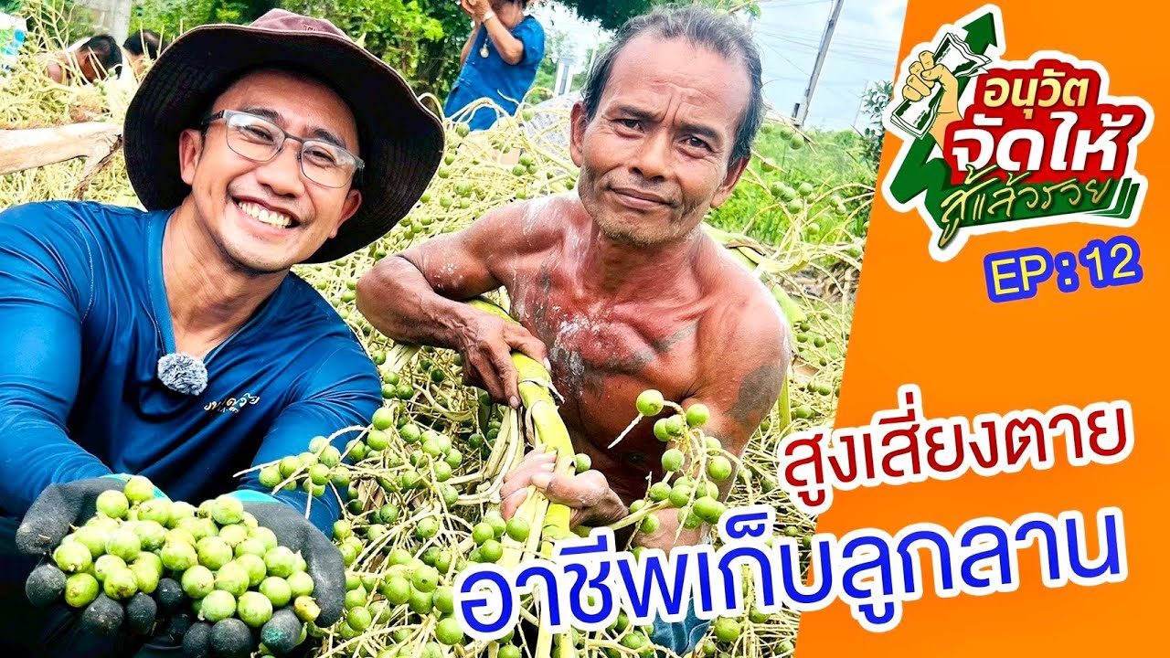 อนุวัต จัดให้ สู้แล้วรวย EP12: สูงเสี่ยงตาย กับอาชีพเก็บลูกลาน