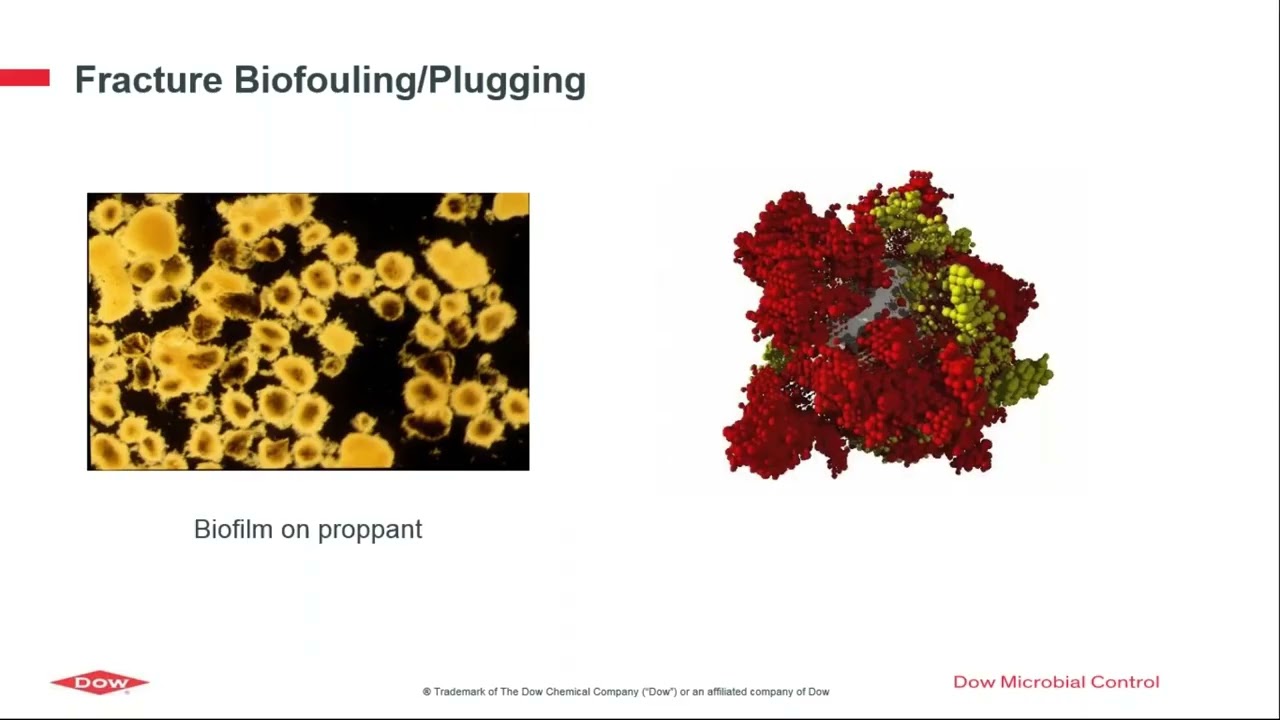 Utilizing Molecular Techniques to Diagnose Sources of Contamination in Hydraulic Fracturing
