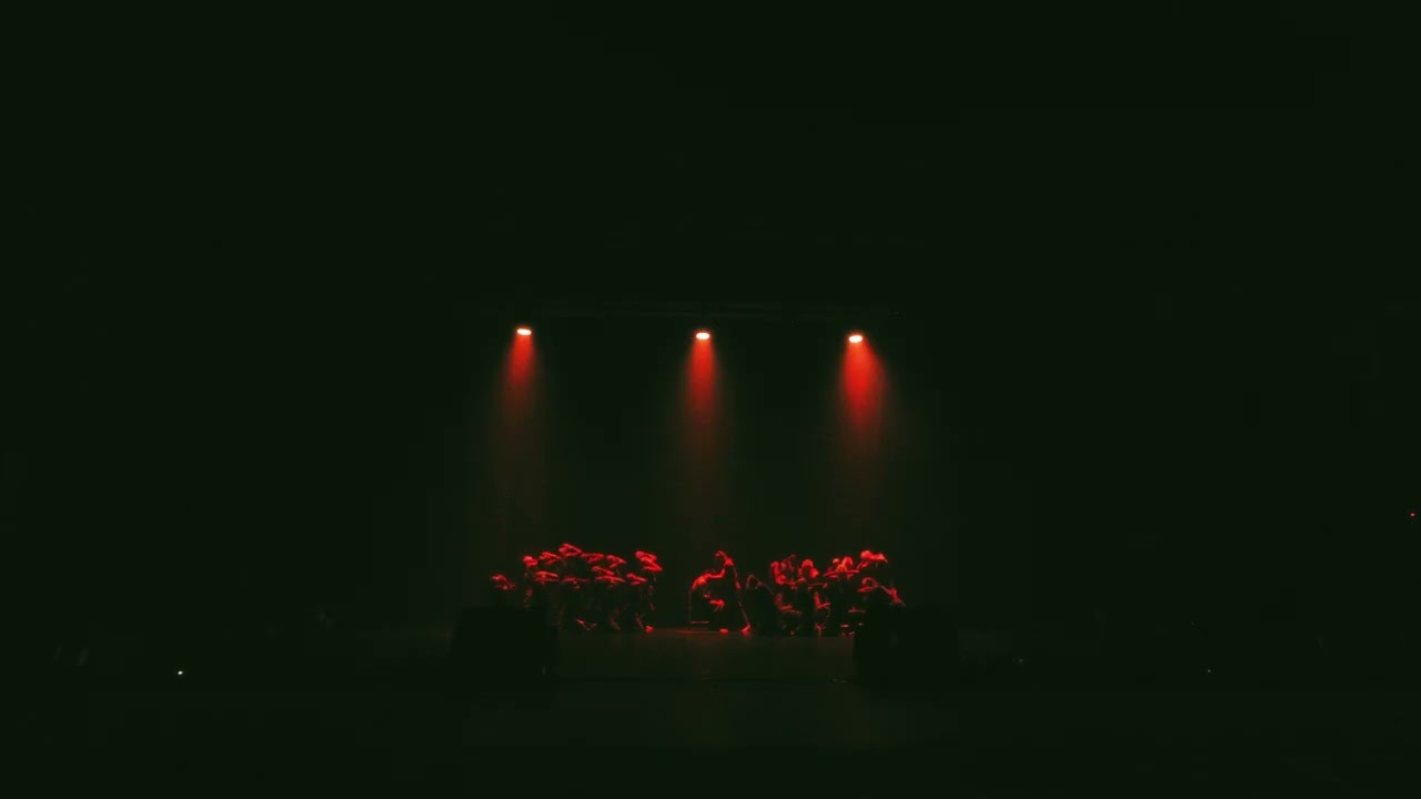 SDZ showcase 2025 I Jacko & Kingyu V2