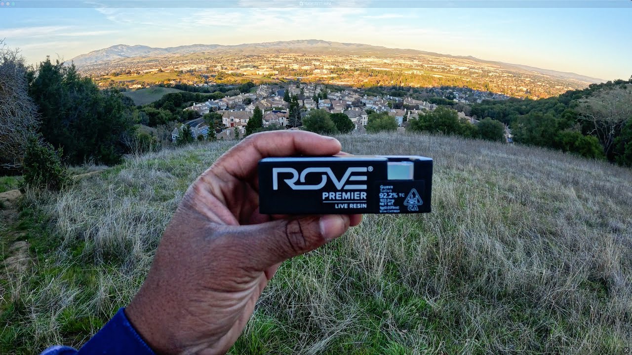 I Tried A Rove Cart All Day So You Don&rsquo;t Have TOO!