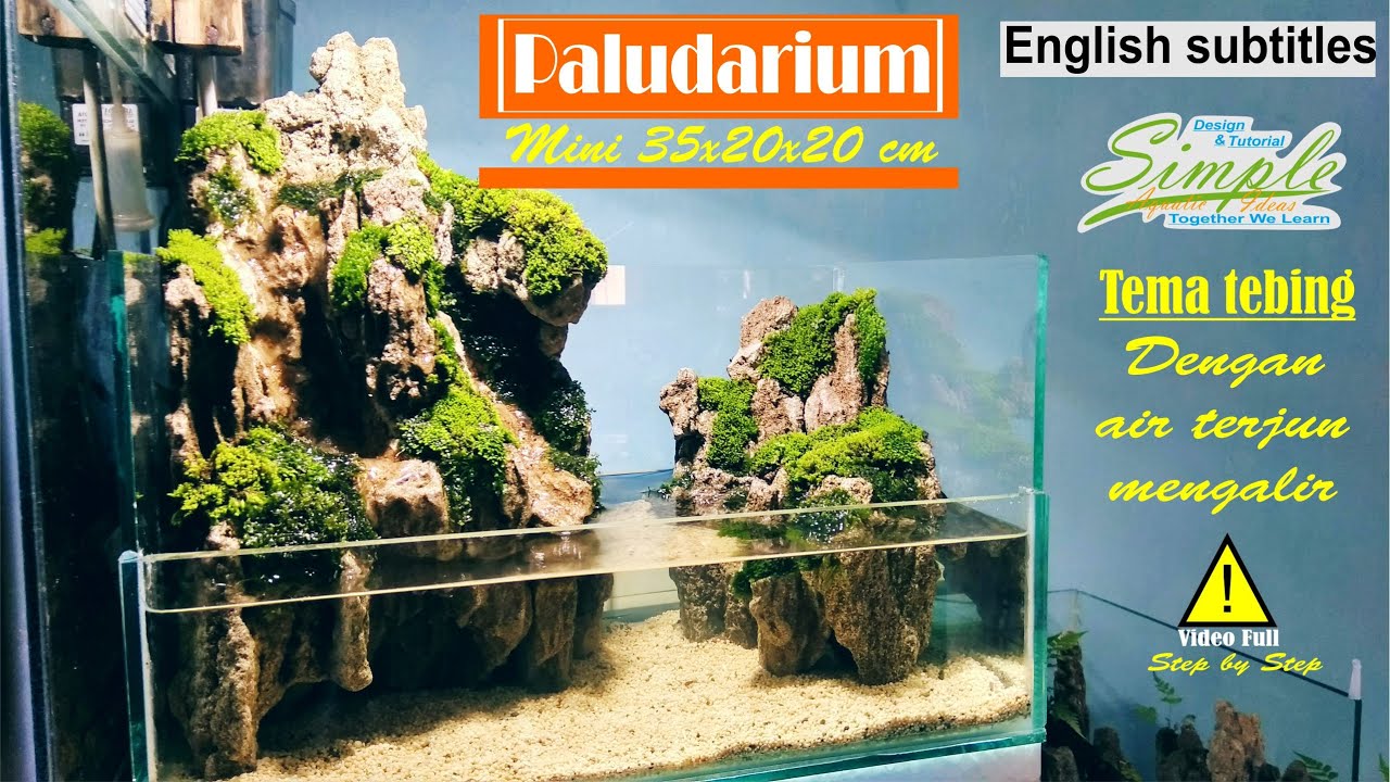 Nano Paludarium 35cm dengan air terjun mengalir bertema bukit #14