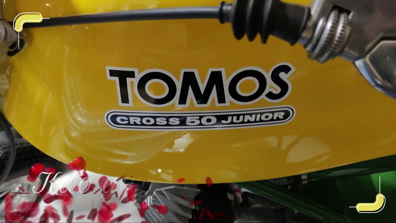 MUZEJ TOMOS KOPER