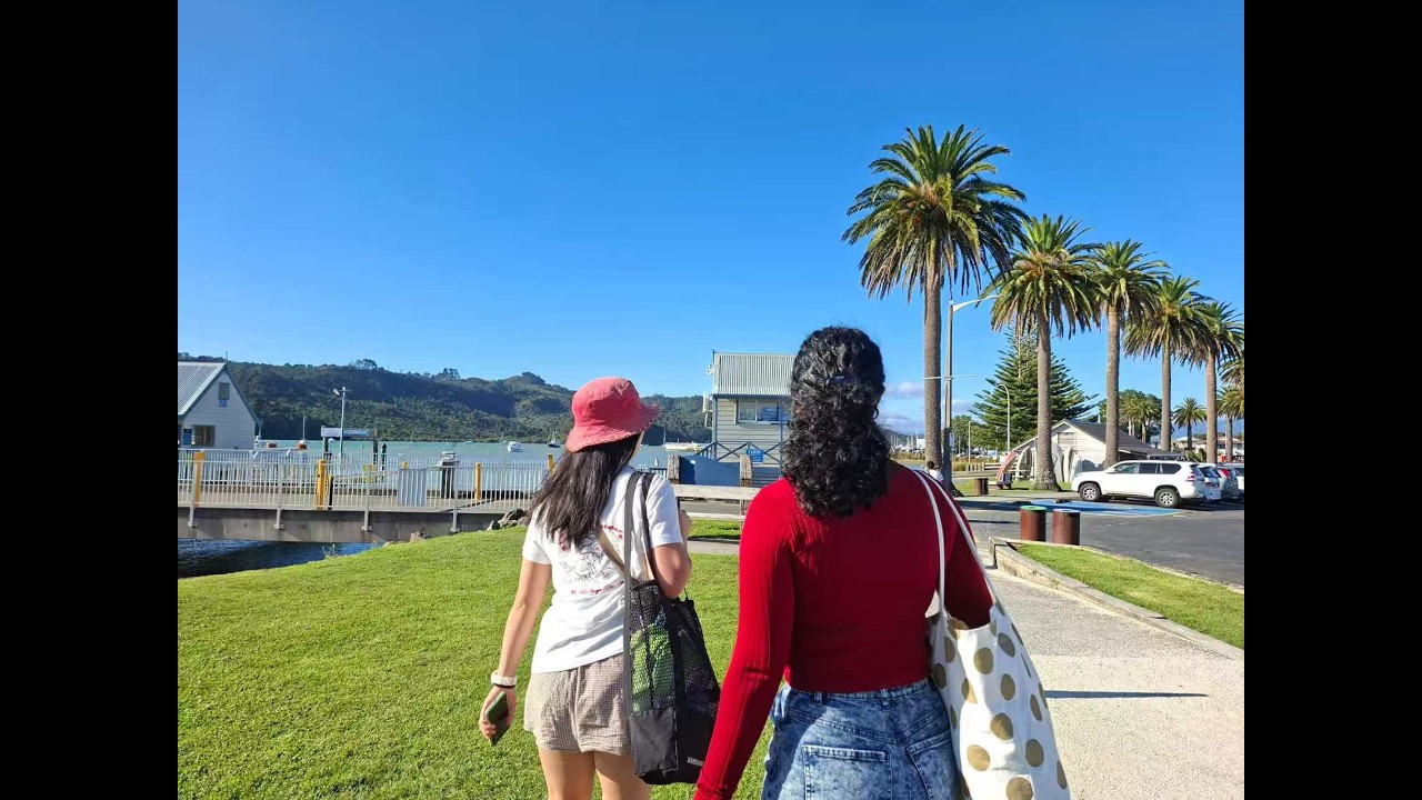 New Zealand Road Trip - Coromandel