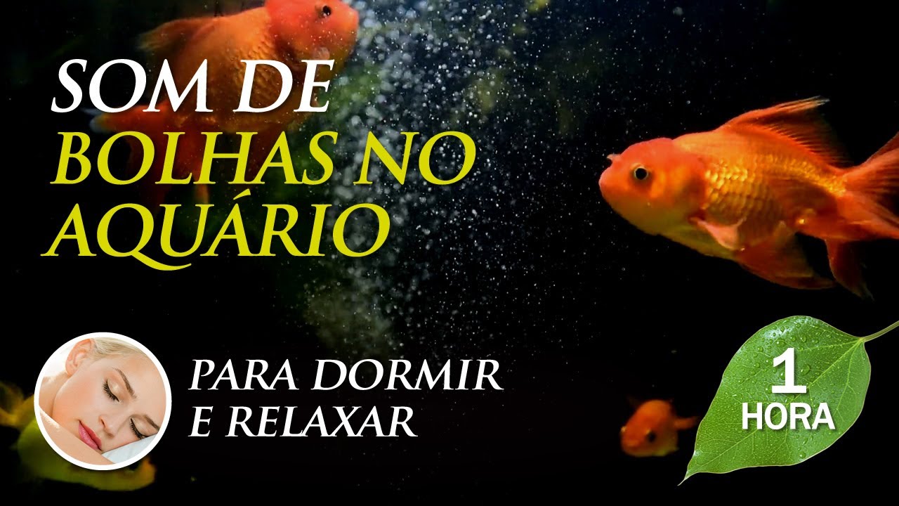 Barulho de Bolhas e Peixes de Aquário - Música para Dormir, Trabalhar, Relaxar  (1 hora)