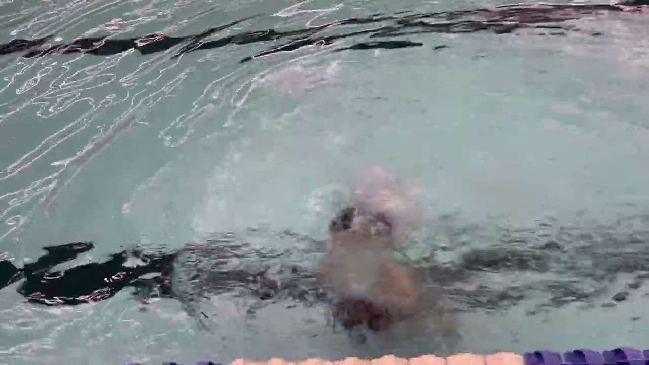 Swimming #margo_coach_vip #shorts 