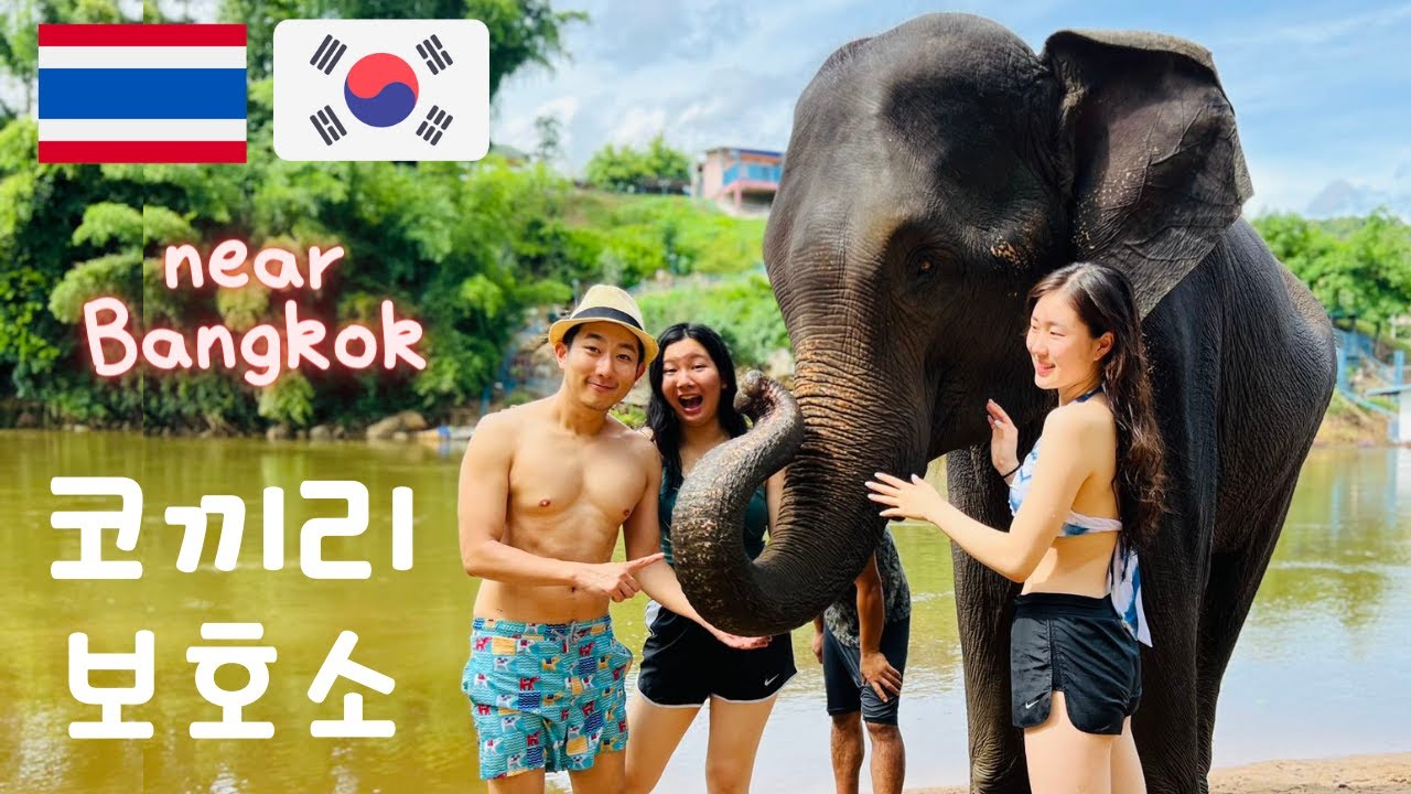 🇹🇭🇰🇷 ELEPHANT SANCTUARY Half Day Trip from Bangkok! (Private Tour experience)