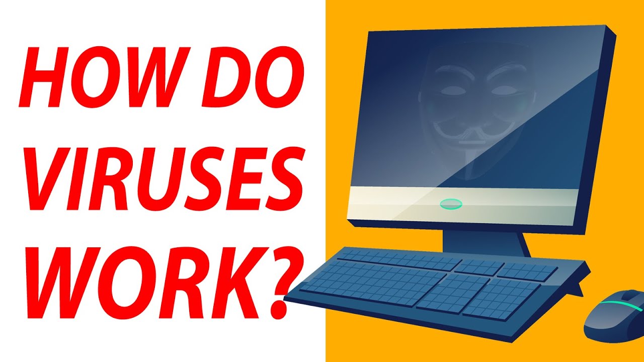 Trojans, AutoRun, USB Jackers, DDoS, Worms, Keyloggers, Botnets, Cryptojackers, Ransomware EXPLAINED