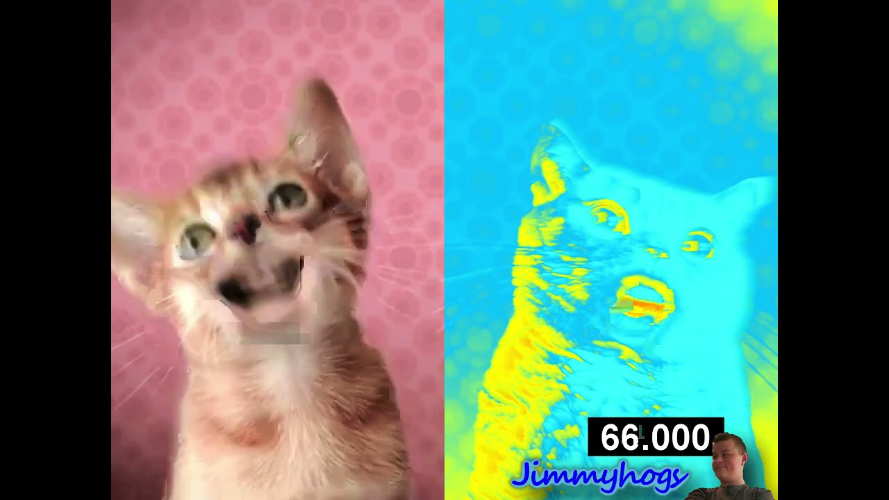 Preview 2 Numa Cat Effects Combined