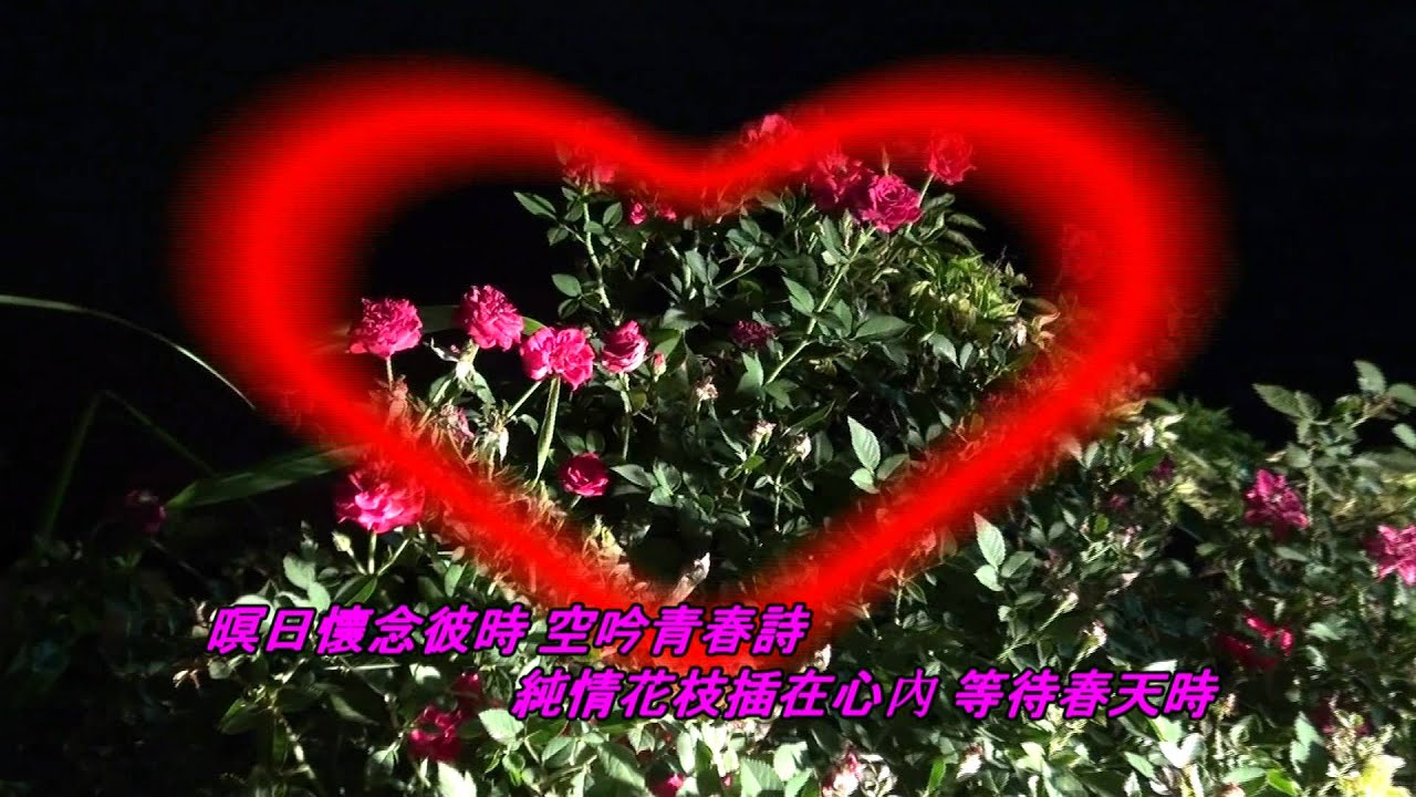 良山 悲戀的勃露斯