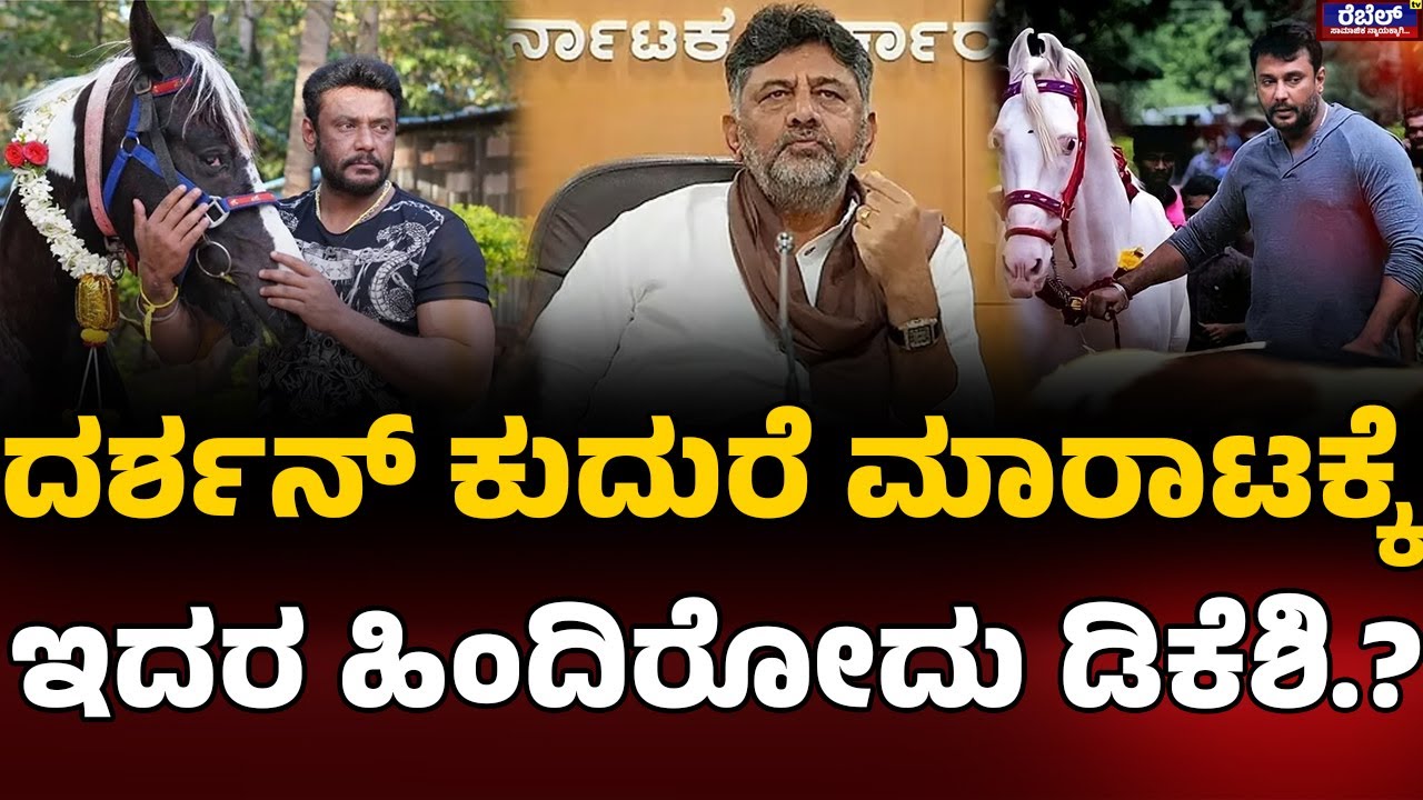 Darshan : ದರ್ಶನ್‌ ಕುದುರೆ ಮಾರಾಟಕ್ಕೆ, ಇದರ ಹಿಂದಿರೋದು ಡಿಕೆಶಿ..? REBEL TV