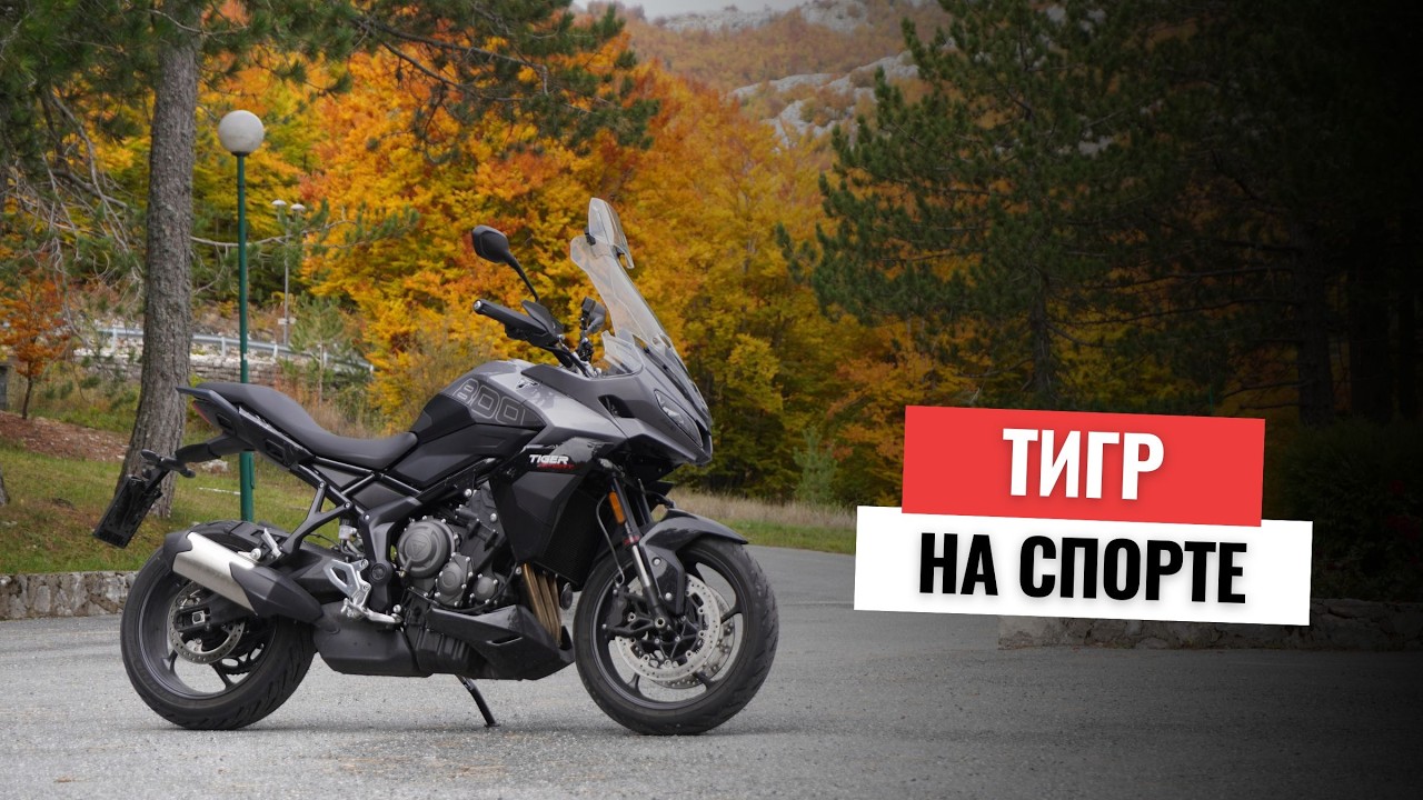 Triumph Tiger Sport 800 - выбор неочевиден 