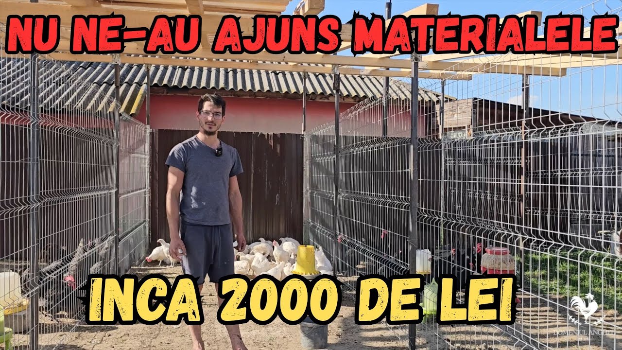 AM BAGAT PASARILE IN NOILE BOXE