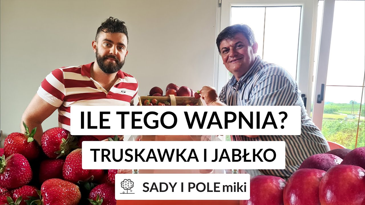 Ile tego wapnia w Truskawce, a ile Jabłku? Auksyny w akcji - Szymon Kamiński i Zbyszek Marek