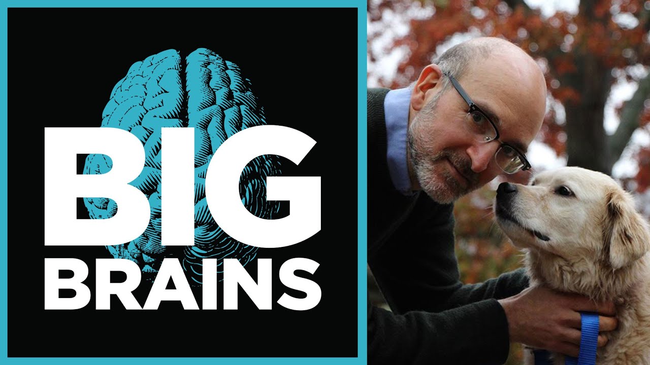 What Dogs Are Teaching Us About Aging, with Daniel Promislow