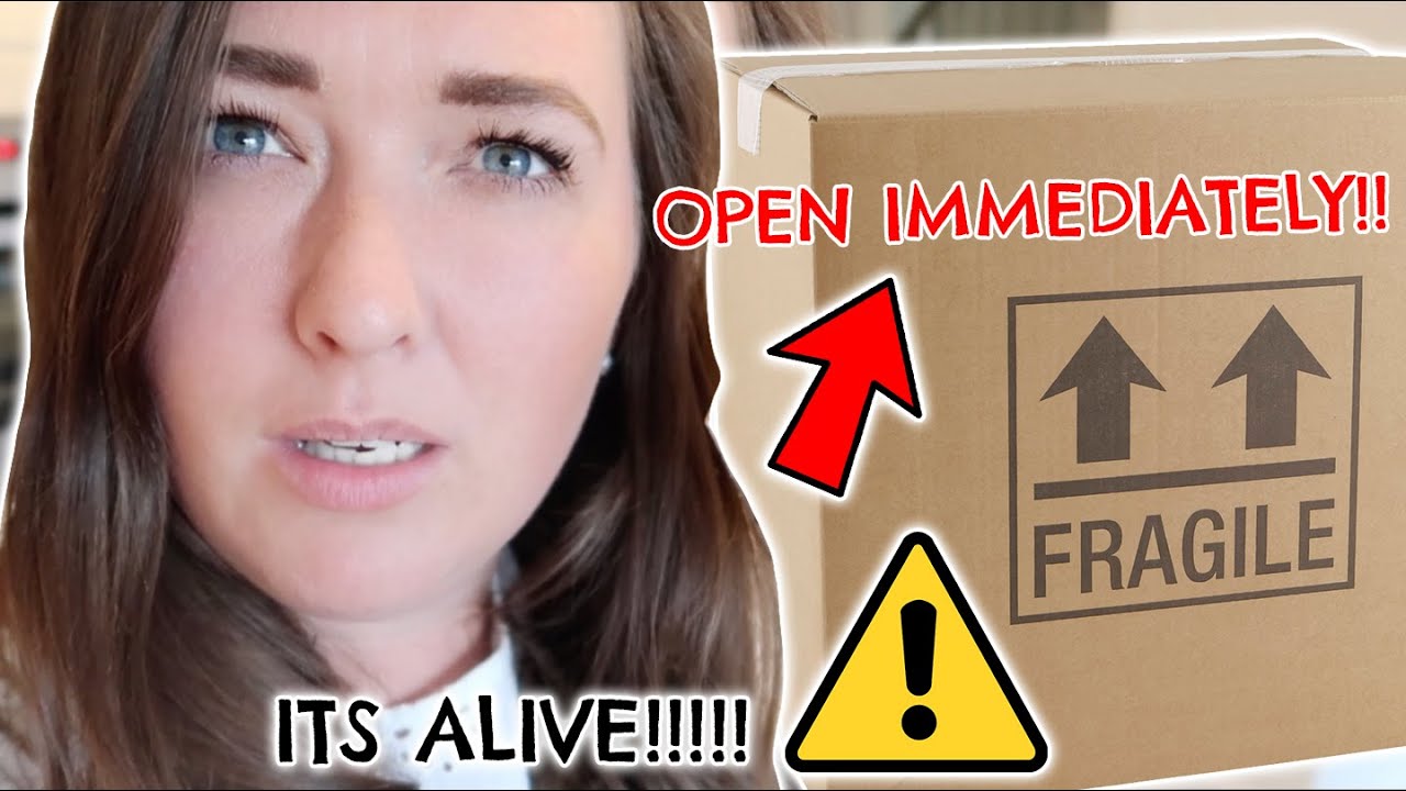 SOMETHING ALIVE GOT DROPPED OFF AT OUR DOOR!!