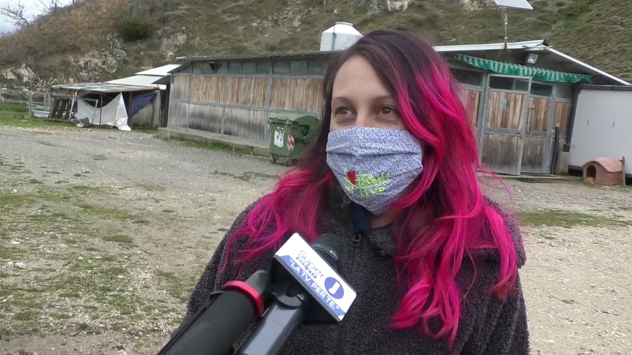 Pietracamela, la storia della giovane imprenditrice Rachele Intini e la sua fattoria