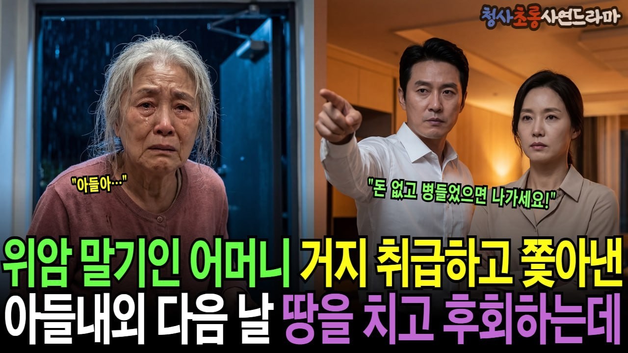 암 말기 어머니를 새벽에 빗속으로 내쫓은 검사 큰아들, 다음날 그 집 앞 큰길에 외제차 수십 대가 나타나는데 | 가족사연 노후사연 황혼사연 감동사연 반전사연 복수사연 통쾌사연 |