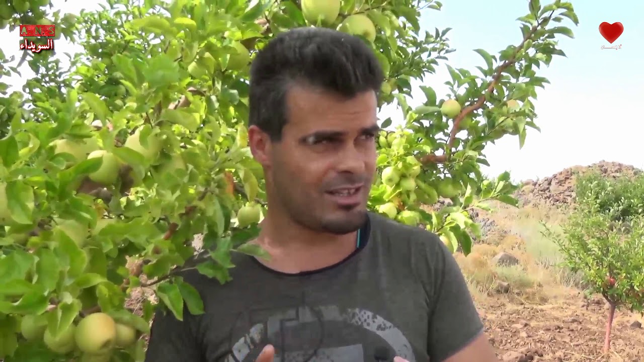 شاب من السويداء يتحدث بجرأة عن واقع محافظة السويداء