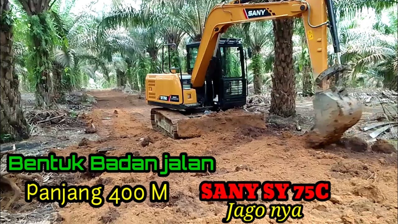 Excavator Sany sy75c membuat jalan 400 Meter kebun sawit pribadi