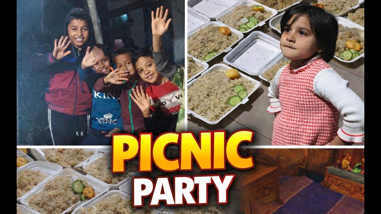 New Year Picnic Party || Happy New Year