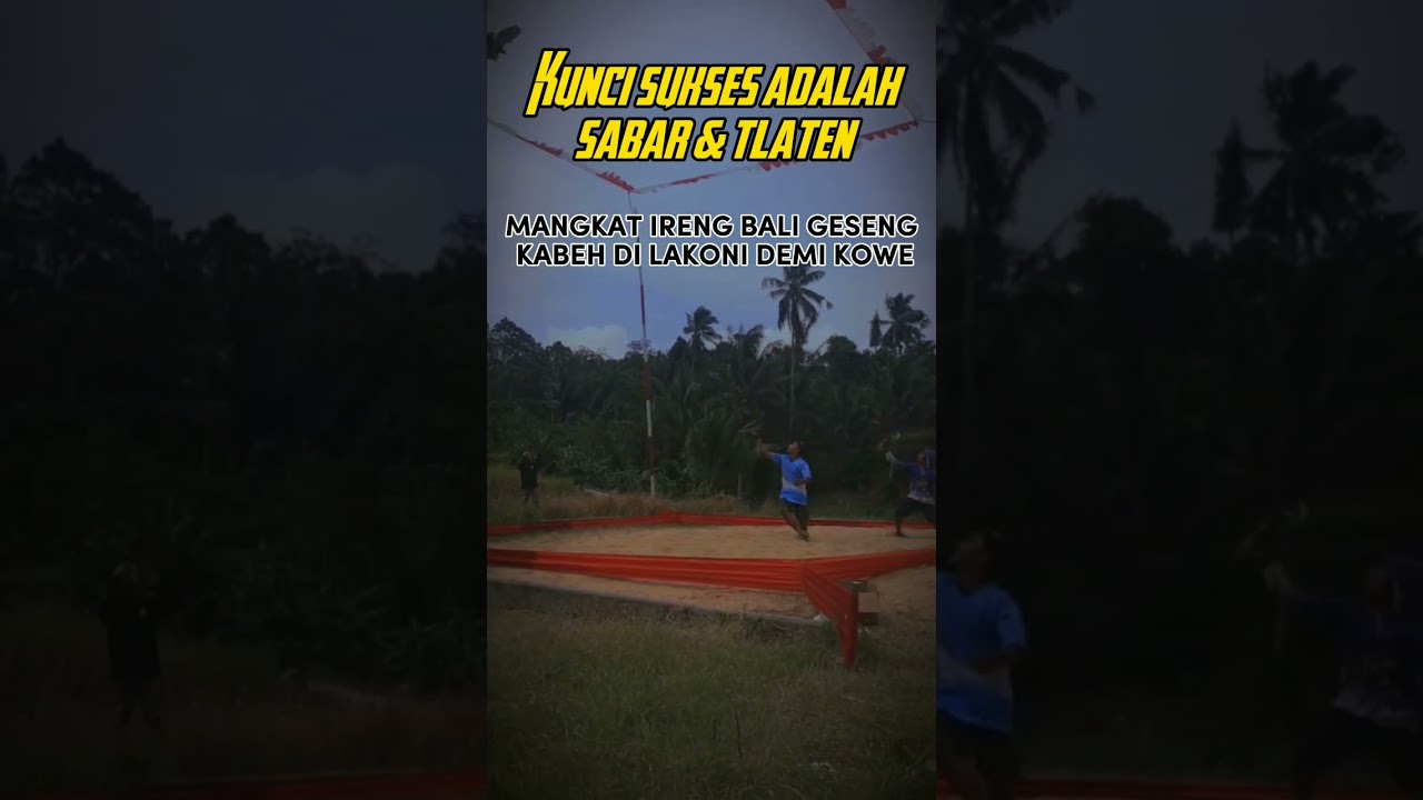 CHINDO🥇🥇 #merpatikolong #merpatikolongindonesia #newrampok #merpatibaron #kenwood