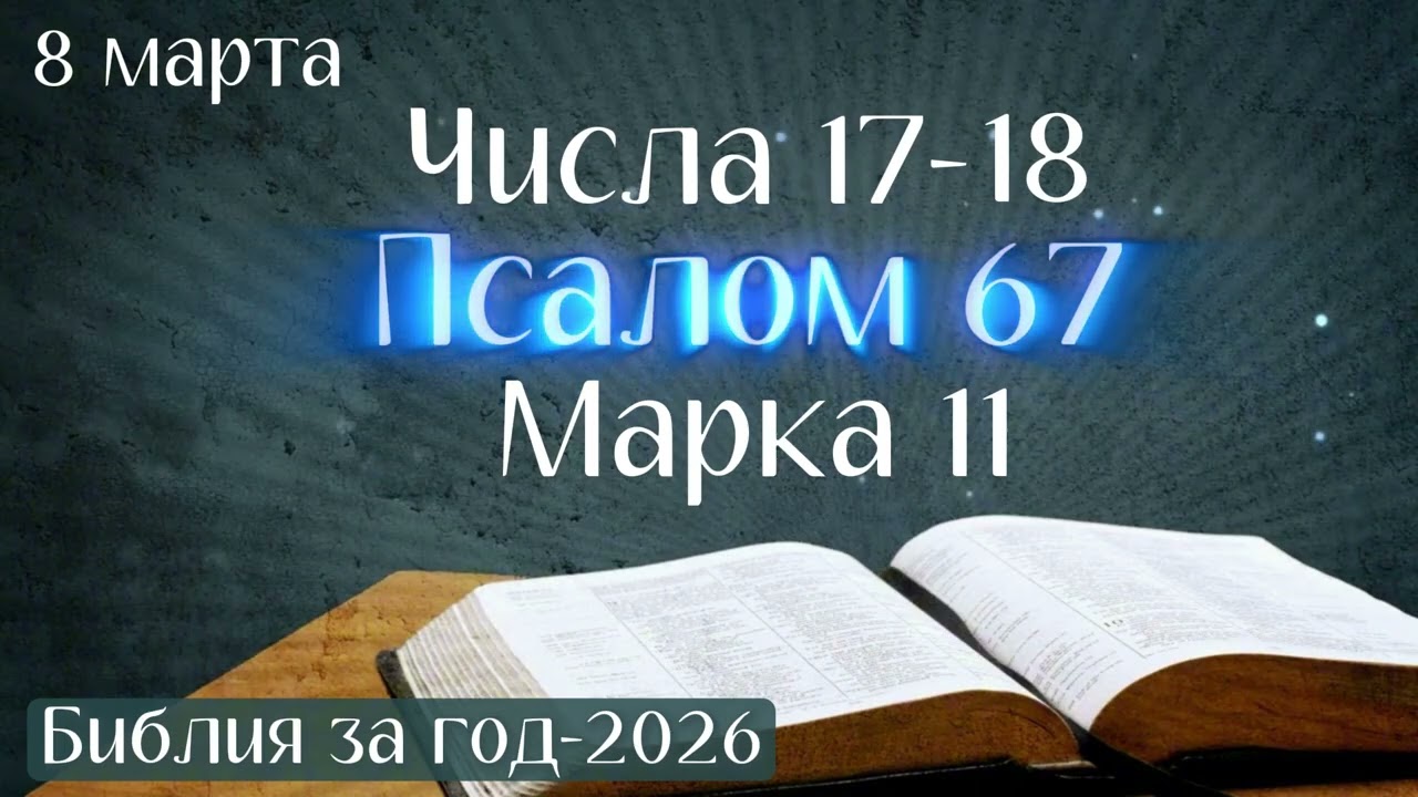 8 марта. Марафон 