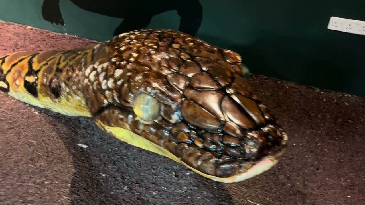 Jalan - Jalan di Singapore Zoo Part 1
