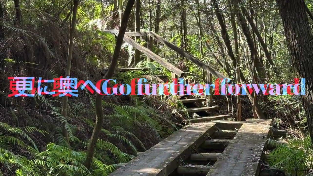 まだ冬？の公園散歩　Is it still winter? Walk in the park