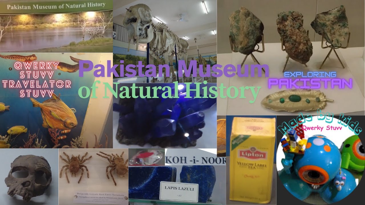 The Pakistan Museum of Natural History | Qwerky Stuvv Travelator Stuvv Exploring Pakistan