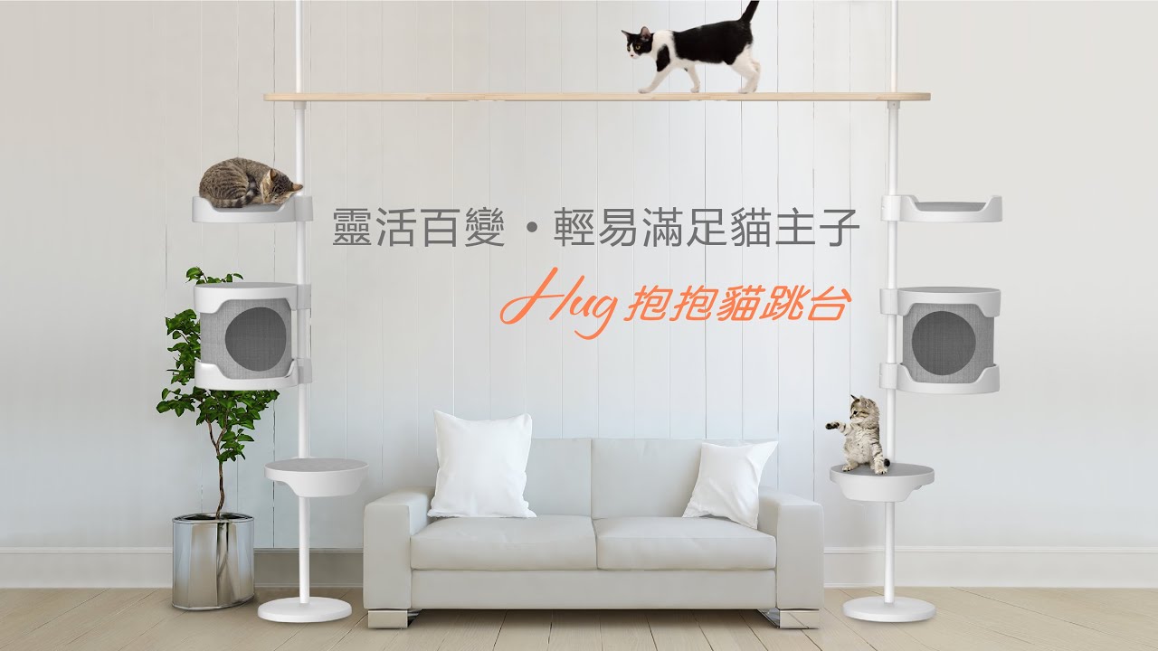 Hug抱抱貓跳台_快閃見面會 @FUFU Cat Caf&eacute;