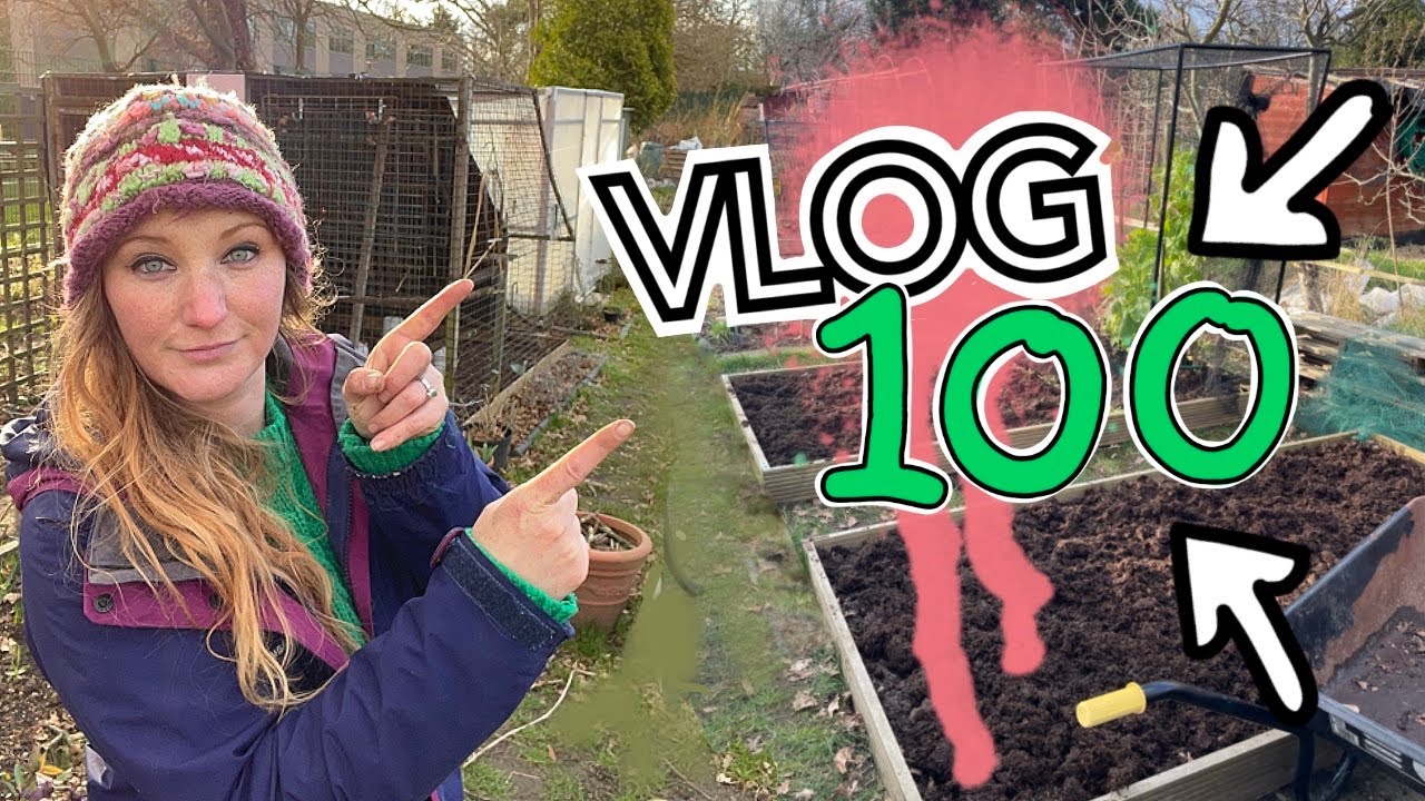 #100 We made it to 100 chaps! Getting back to the Garden this week || Plot 37