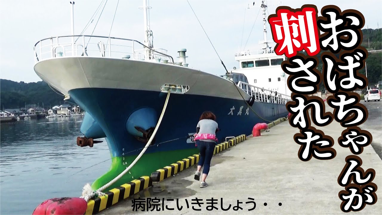 【大丈夫？】堤防で魚を釣りあげていたら危険生物に刺された（594話目）