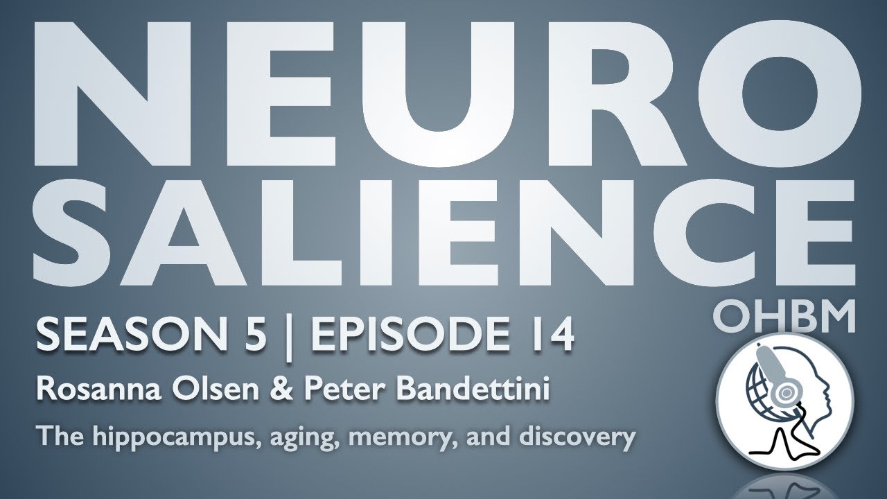 Neurosalience #S5E14 with Rosanna Olsen - The hippocampus, aging, memory, and discovery