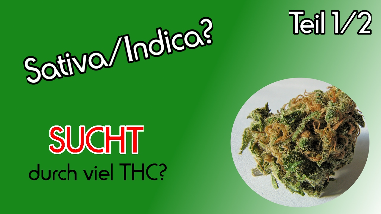 Drug, Set, Setting/ Macht starkes Cannabis schneller abh&auml;ngig? Teil(1/2)
