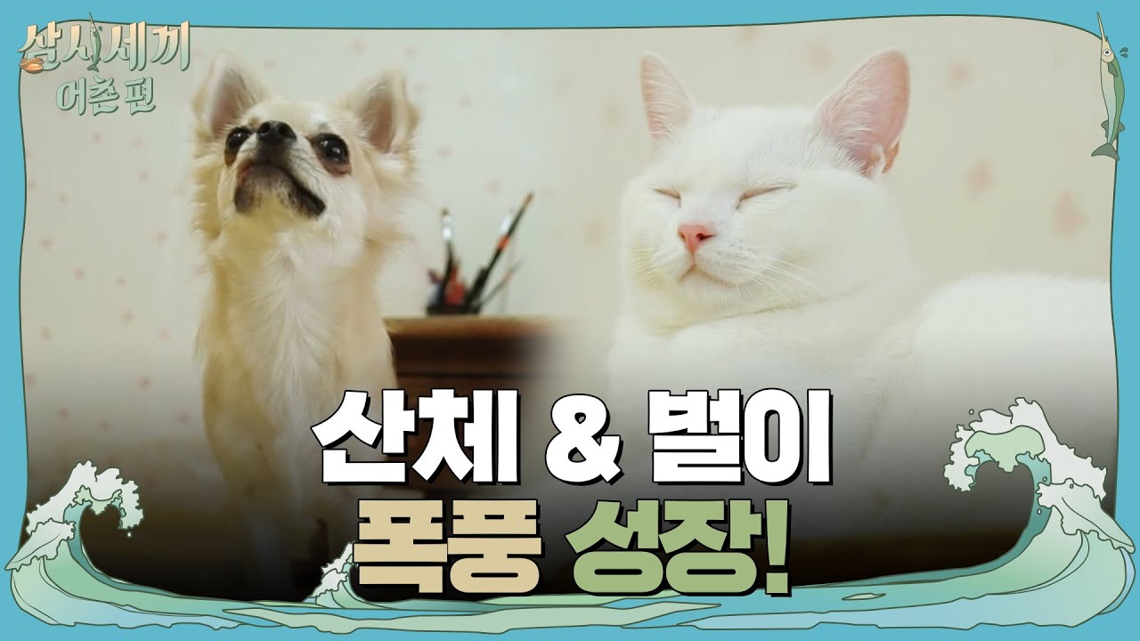 산체&벌이 폭풍성장! 만재도 &prime;상남자&prime; 등극! | 삼시세끼 어촌편 2 (3 meals a day-fishing trip 2) EP.1